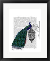 Framed Peacock On Lamp