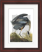 Framed Blue Heron 1