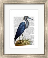Framed Blue Heron 2