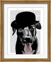 Framed Black Labrador in Bowler Hat