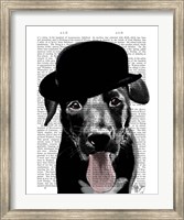 Framed Black Labrador in Bowler Hat