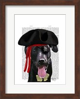 Framed Black Labrador Pirate