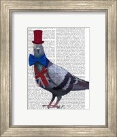 Framed London Pigeon
