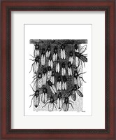 Framed Bee and Honeycomb Print
