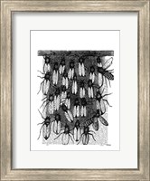 Framed Bee and Honeycomb Print