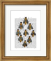 Framed Medieval Bees