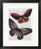 Butterflies 2 Framed Print
