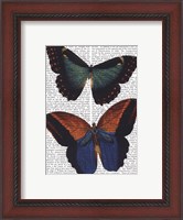 Framed Butterflies 4