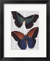 Framed Butterflies 4