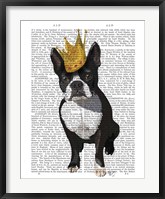 Framed Boston Terrier And Crown