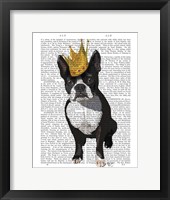 Boston Terrier And Crown Framed Print