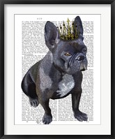 Framed French Bulldog King