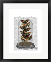 Multicoloured Butterflies in Bell Jar Framed Print