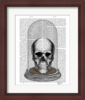 Framed Skull In Bell Jar