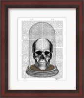 Framed Skull In Bell Jar
