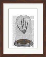 Framed Skeleton Hand In Bell Jar