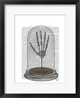 Framed Skeleton Hand In Bell Jar