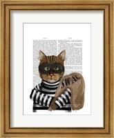 Framed Cat Burglar