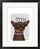 Brown Chihuahua And Tiara Framed Print