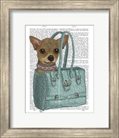 Framed Chihuahua In Bag