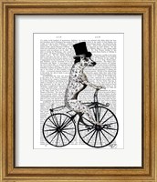Framed Dalmatian on Bicycle