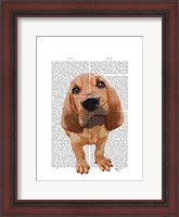 Framed Bloodhound Puppy