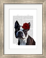 Framed Boston Terrier with Rose on Head