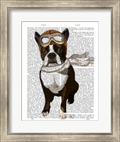 Framed Boston Terrier Flying Ace