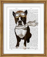 Framed Boston Terrier Flying Ace