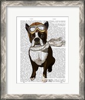 Framed Boston Terrier Flying Ace