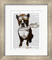 Framed Boston Terrier Flying Ace