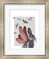 Framed Dragonfly Hare