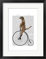 Framed Meerkat on Black Penny Farthing