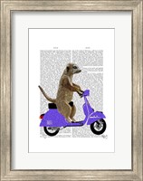 Framed Meerkat on Lilac Moped