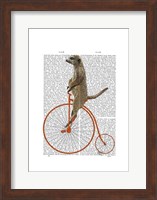 Framed Meerkat on Orange Penny Farthing