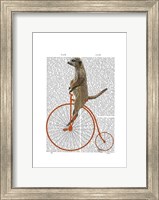 Framed Meerkat on Orange Penny Farthing