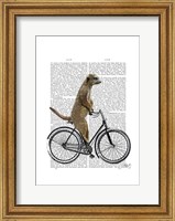 Framed Meerkat on Bicycle
