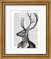Framed Deer Portrait 2