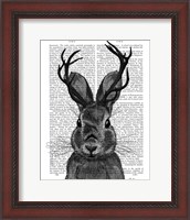 Framed Jackalope with Grey Antlers