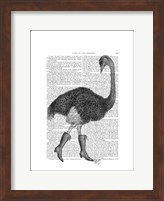 Framed Ostrich In Boots