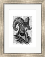 Framed Mountain Goat Portrait