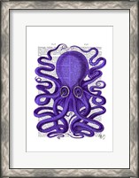 Framed Purple Octopus