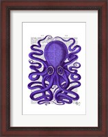 Framed Purple Octopus