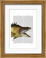 Framed Great Hog Fish