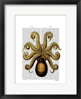 Framed Vintage Yellow Octopus Underside