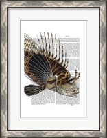 Framed Vintage Spiky Fish
