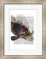 Framed Vintage Spiky Fish