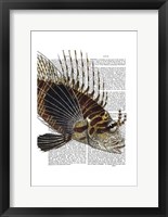 Framed Vintage Spiky Fish