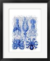 Octopus & Squid Blue Framed Print