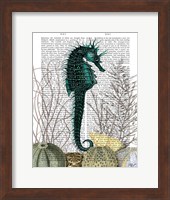 Framed SeaHorse and Sea Urchins